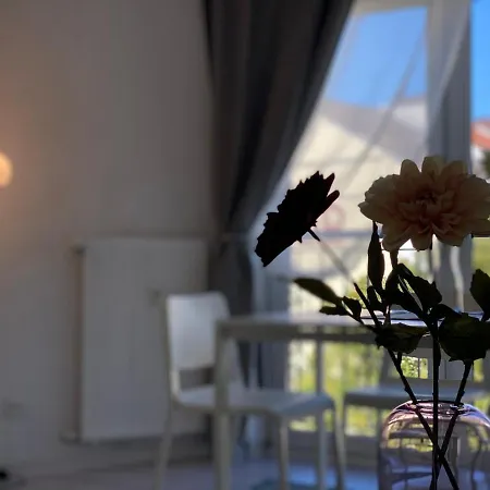 Apartment City Am Rhein 4 Bonn