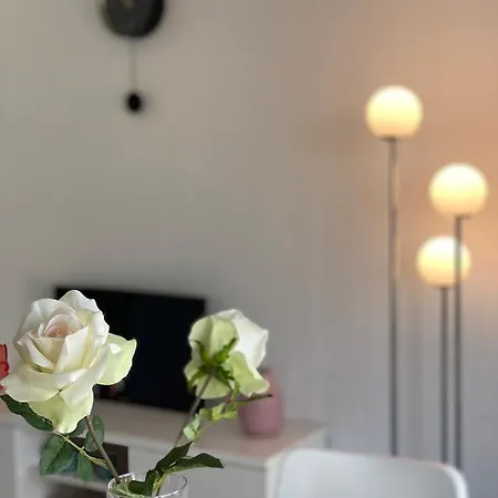 City Am Rhein 4 Apartment